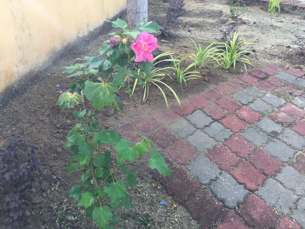 The Garden Vacation Home Lumut Exterior foto